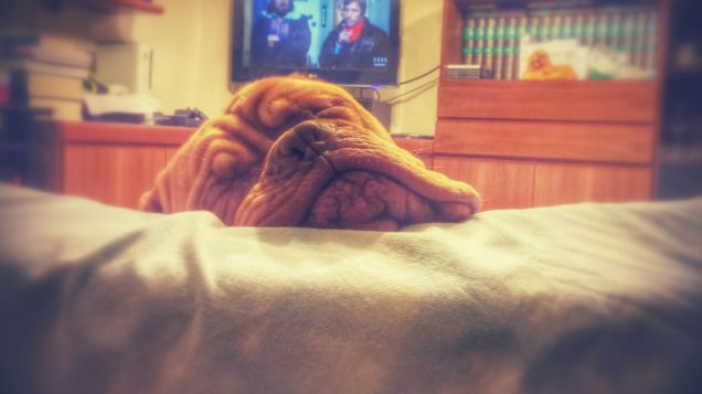 nanna come solo io so fare ❤