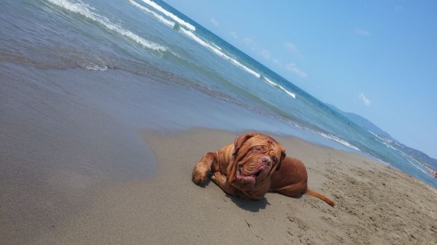in vacanza ❤❤ il primo mare di Drugo