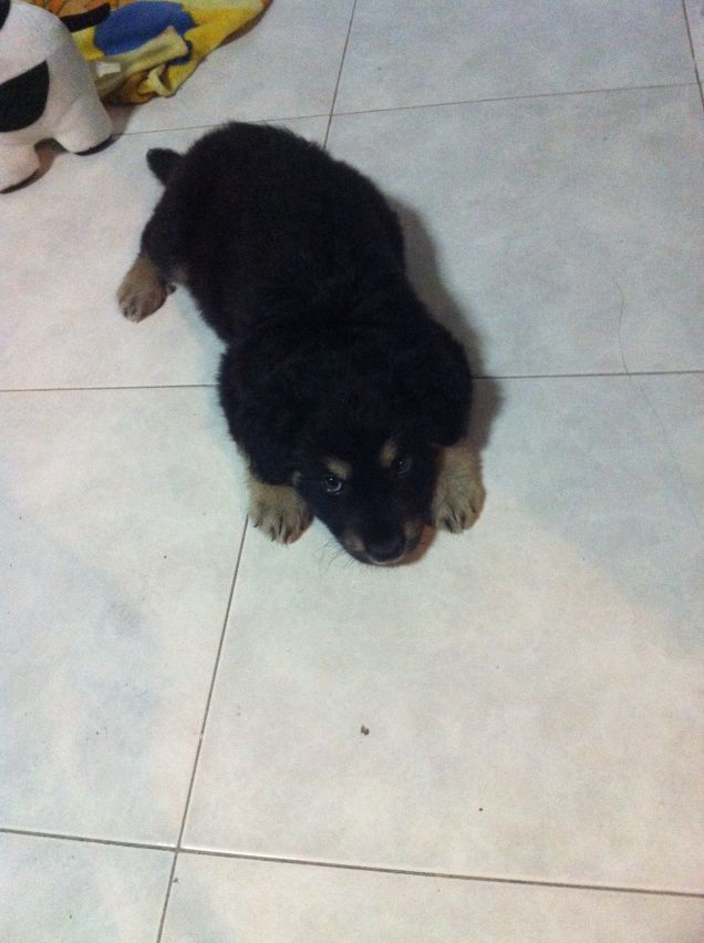 'non lo faccio più!'