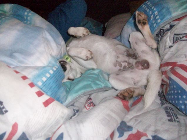 io non amo esser fotografato