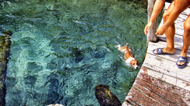 AL RITORNO DAL TUFFO NELL'OCCHIO DI ACQUA MESSICANO....