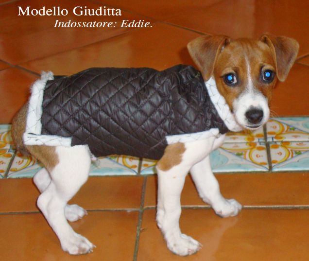 EDDIE, MODELLO GIUDITTA!