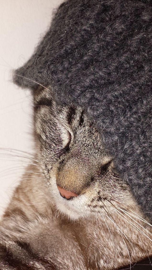 united colors of bacon;)