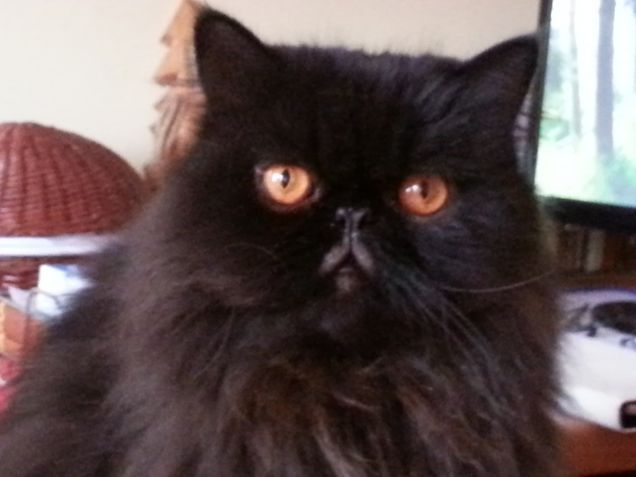 troppo in primo piano mi si vedono le rughe...