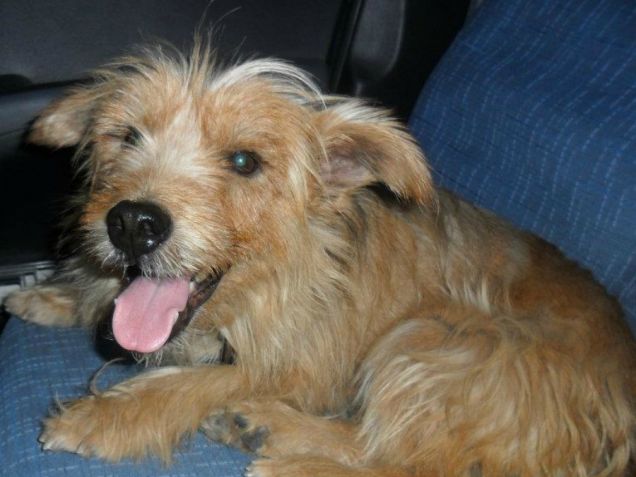 Ma che bello stare sul divano!