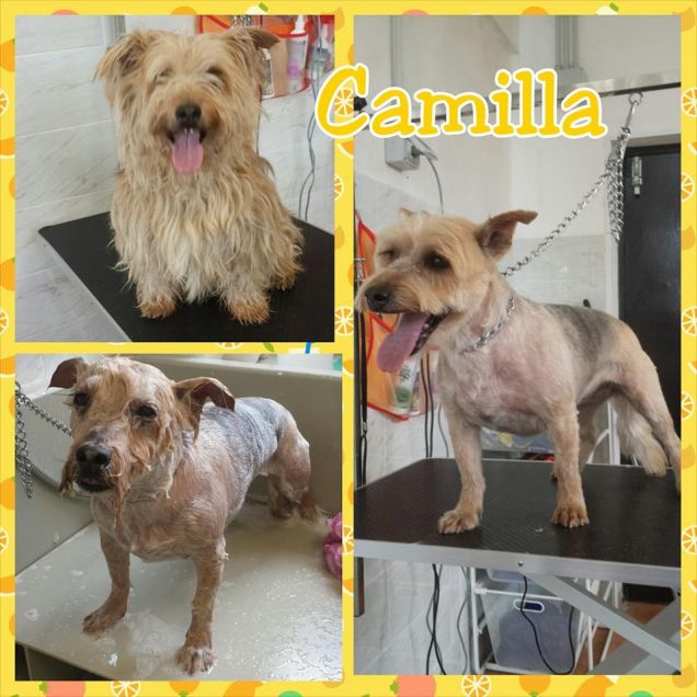 Sono andata a farmi bella