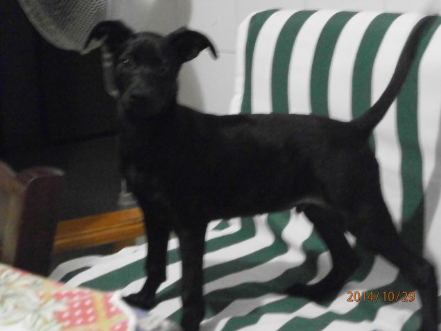 Divano,che passione!