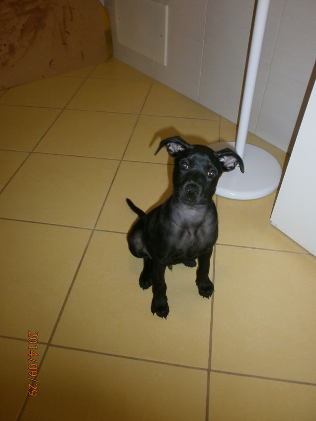 A  dir poco 'Fantastico'