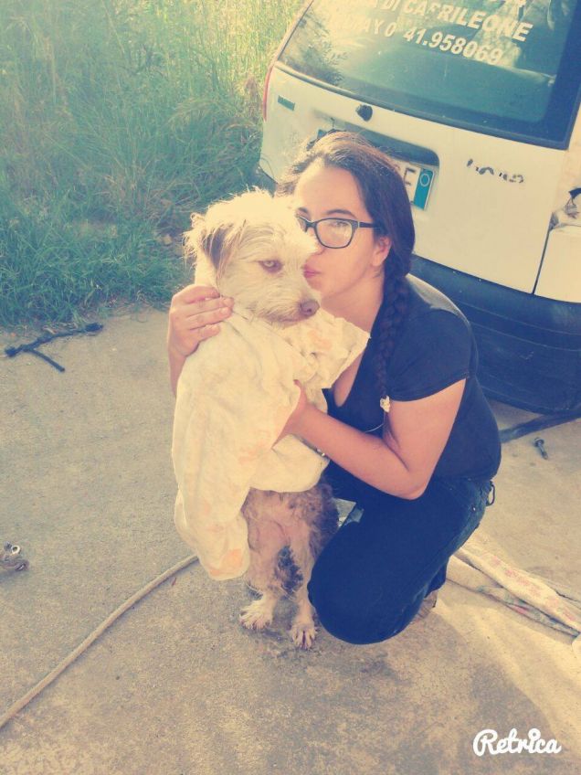 amore a prima vista con quei gli occhi dolci e verdi come lo smeraldo