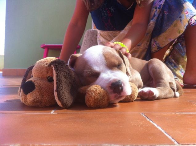 Nikita e il suo 1' mese