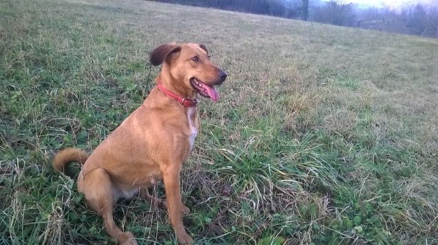 Il mio prato preferito