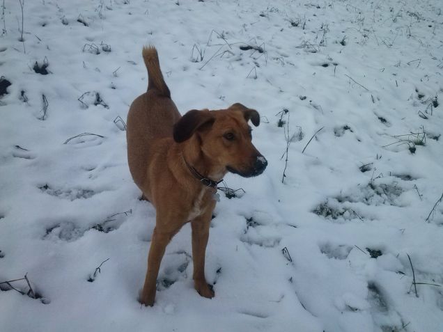 Bellaaaaaaaaaaa la neve