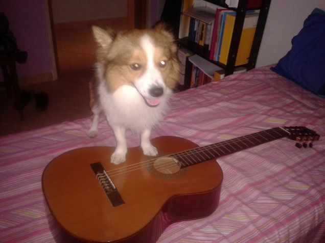 voglio suonare la chitarra!!!