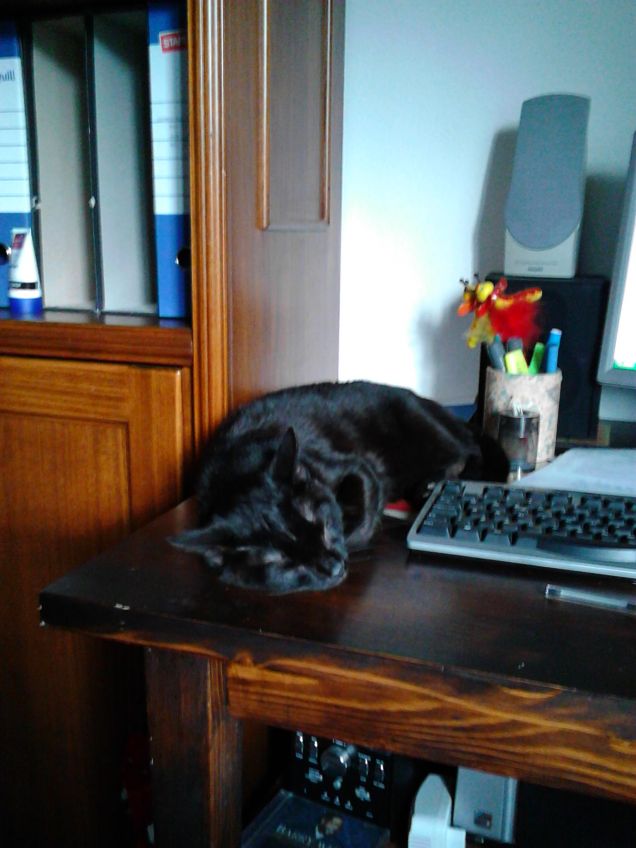 Riposino pomeridiano