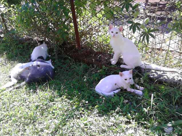 Tutti insieme al sole..