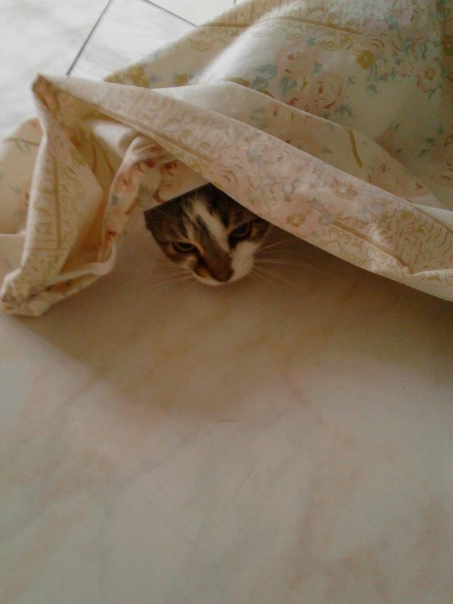 giochiamo a nascondino??