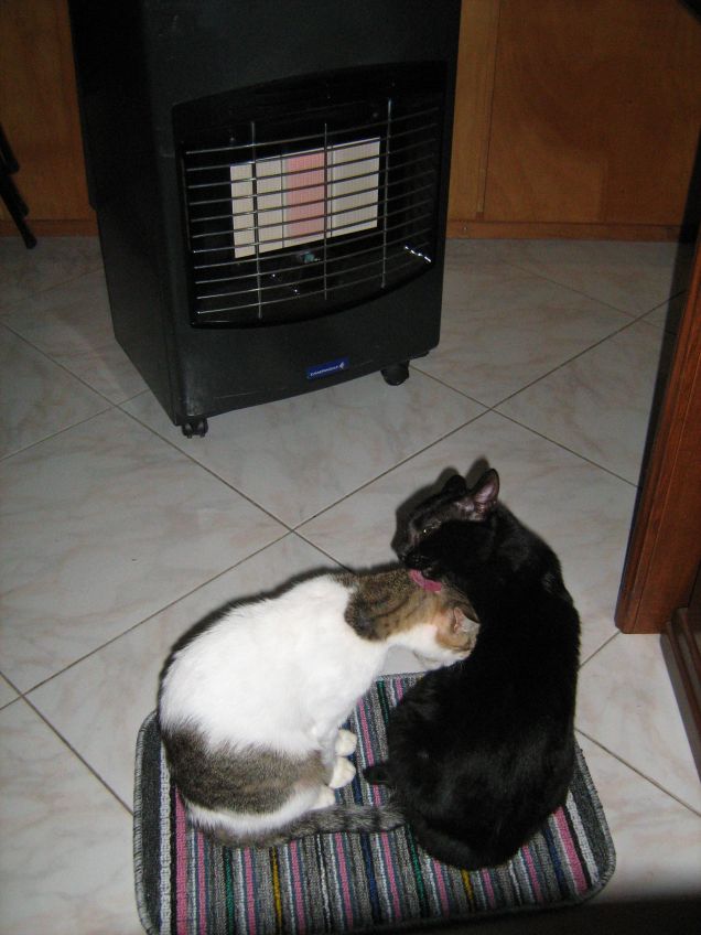 Effusioni davanti la stufa.. 