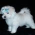cerco maltese toy in regalo