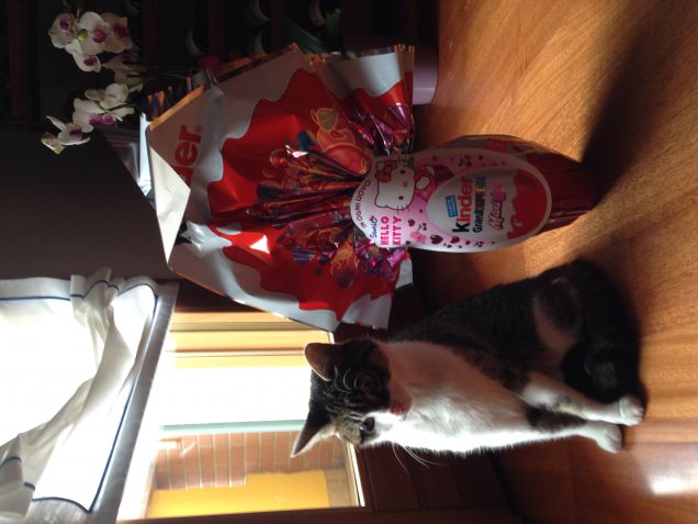 Talitha e uovo di Pasqua