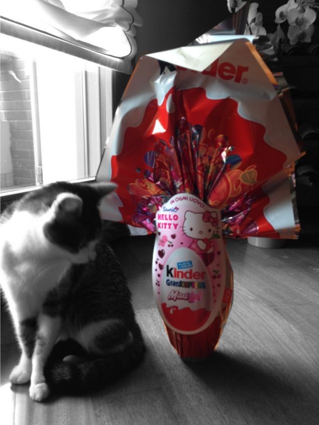 Foto in bianco e nero