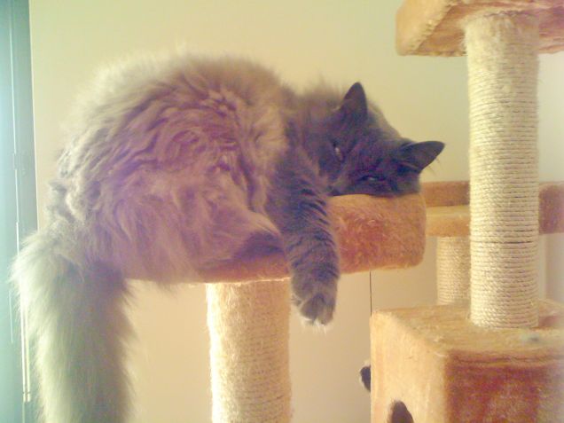 RELAX SUL TIRAGRAFFI