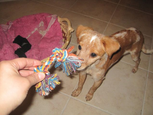 Ipnotizzante direi...