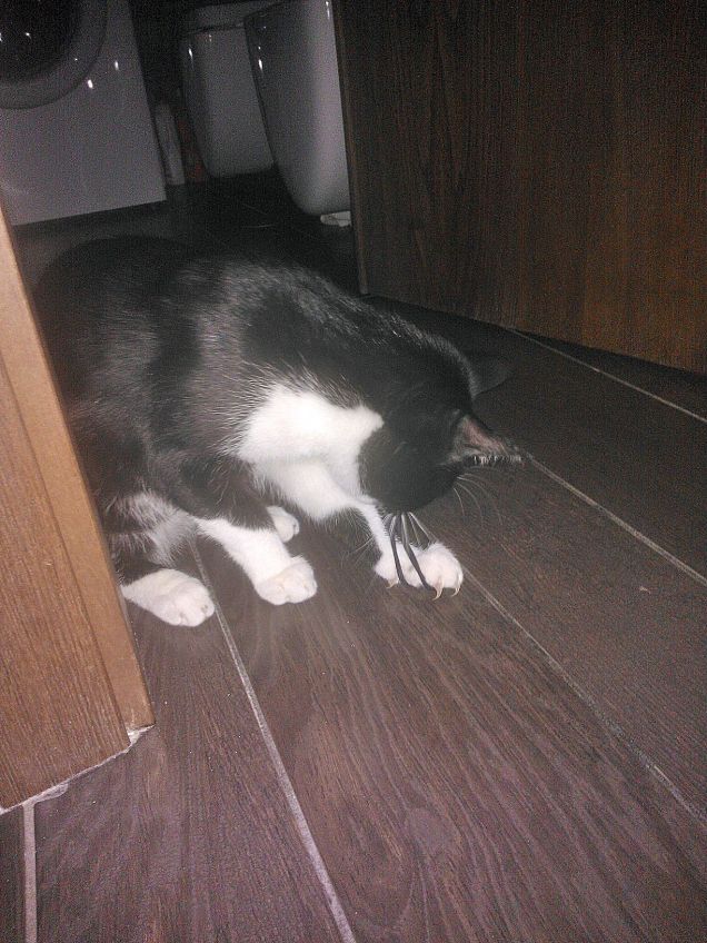 Loki .... il distruttore