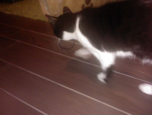 Loki .... il distruttore