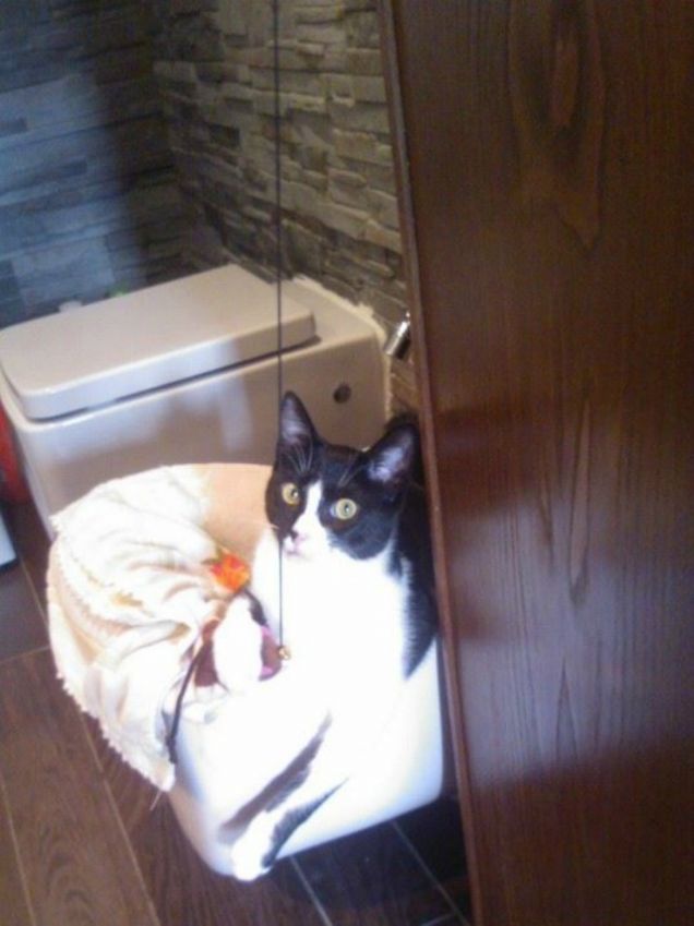 Loki .... il distruttore