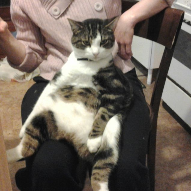 Berbi in pieno relax :-) 