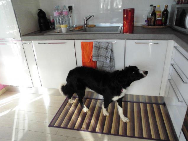 che buon profumino .....