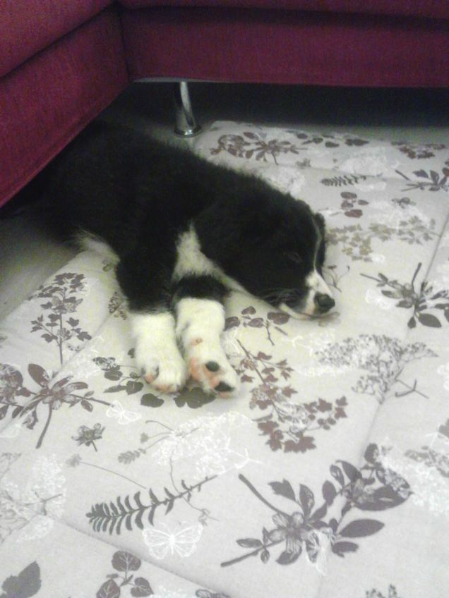 ... stavi anche sotto al divano ..,..