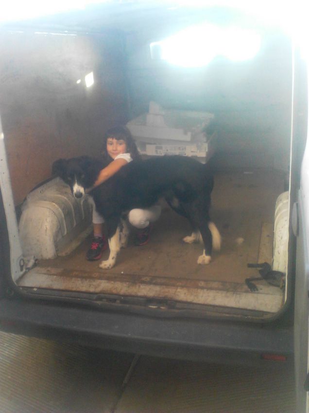 compagne di marachelle