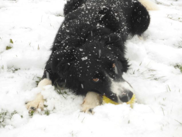 voglia di giocare ...