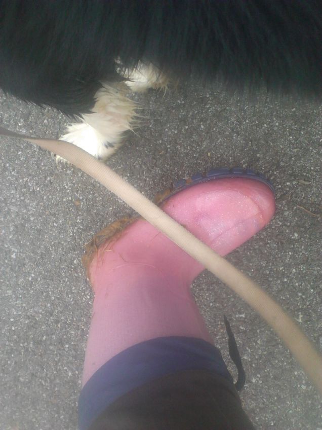 anche oggi abbiamo esagerato