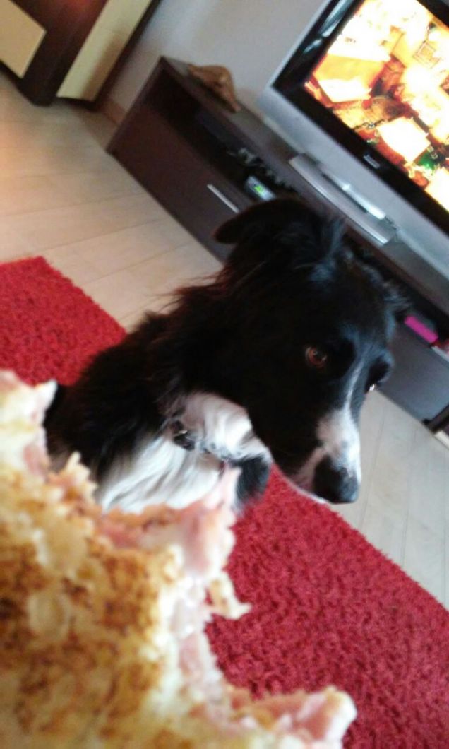 ti piace il toast ??!!??