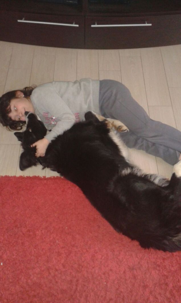 ognuno nella sua cuccia