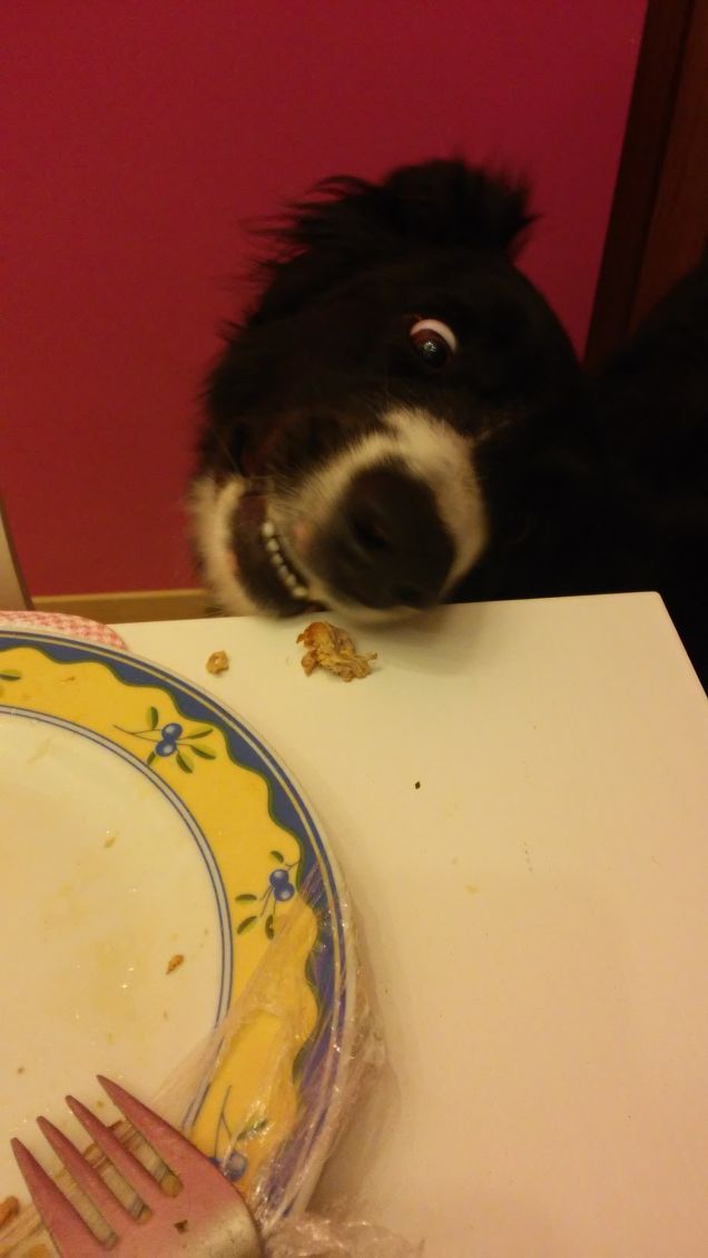 sguardo famelico !!!!