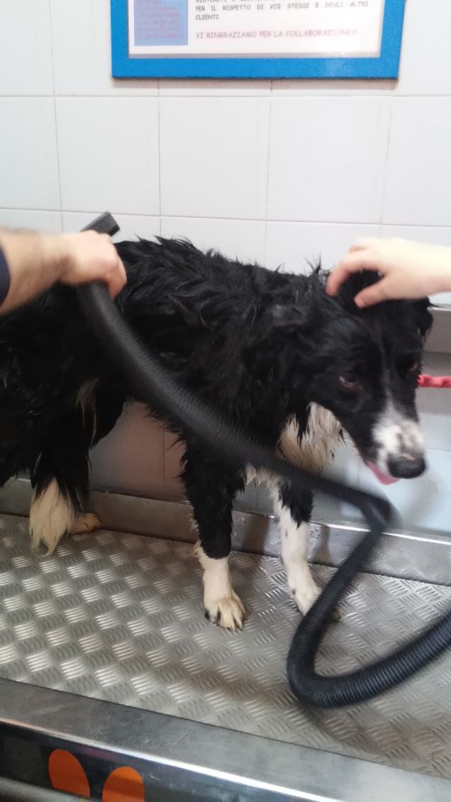 ti piace fare il bagnetto ????? ......