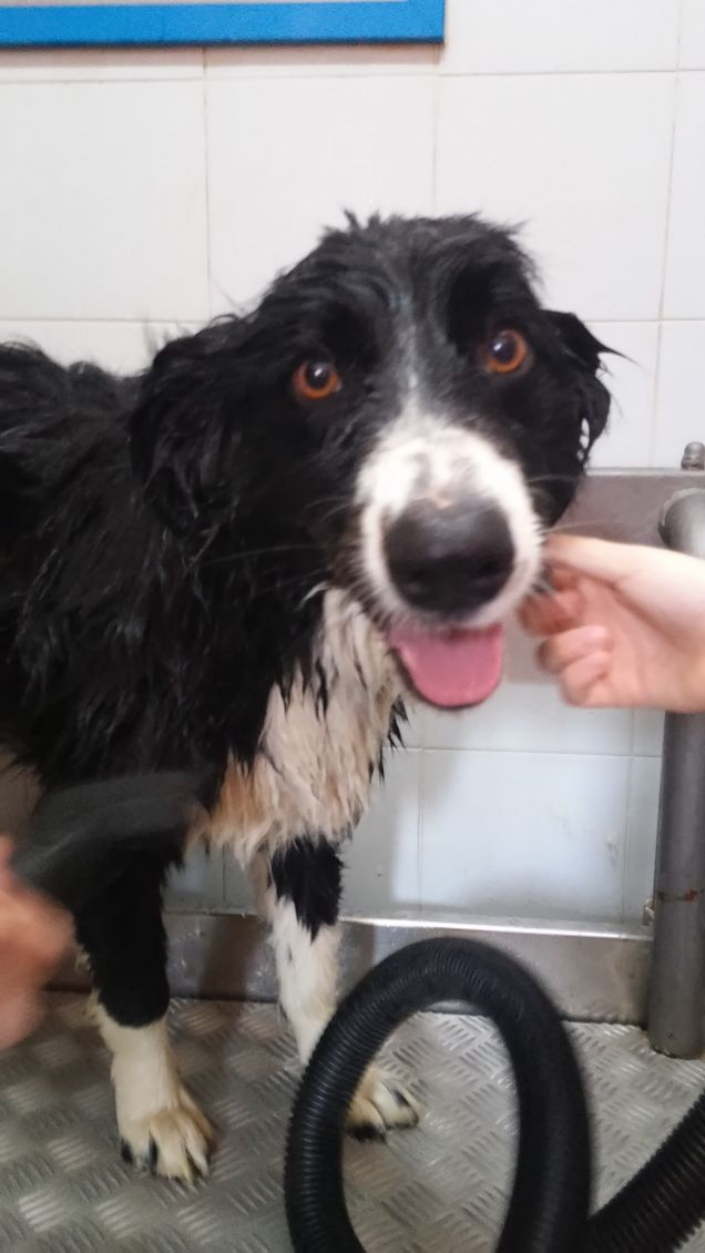 .... mi sa di no .....