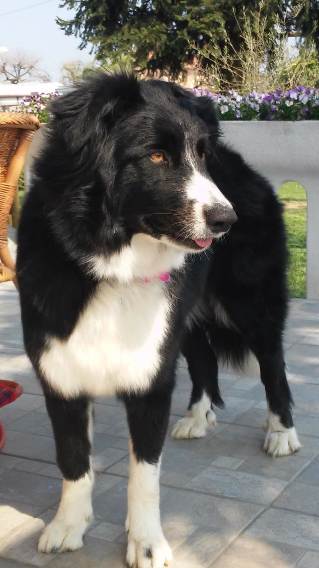 dopo il bagnetto !!!