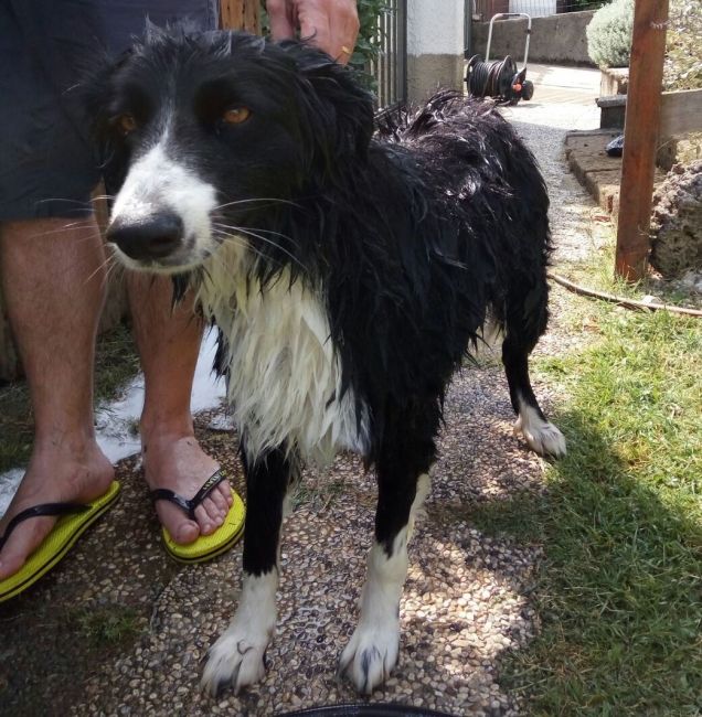 dopo il bagnetto ....