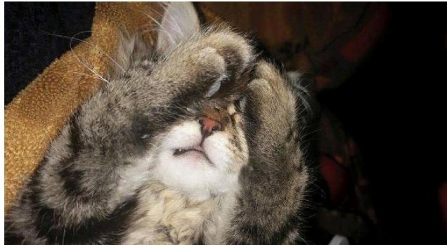 Mi da fastidio la luce