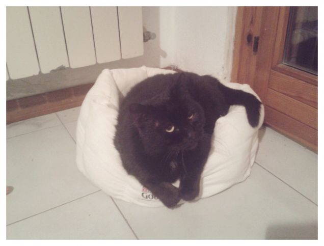 Al caldo in casuccia. 