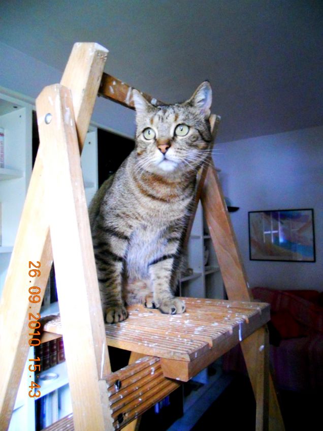 Versione imbianchina! 