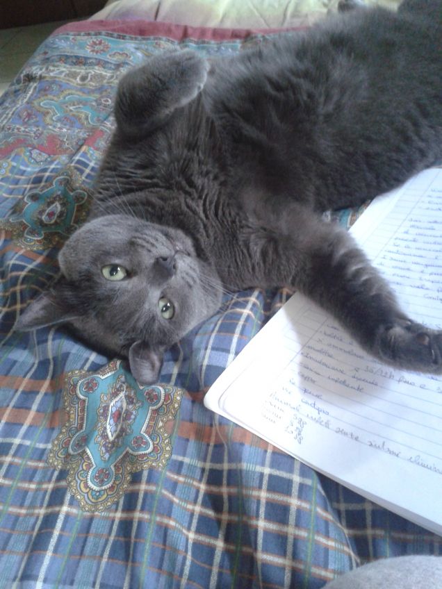 oh  ma come sono stanca di studiare!