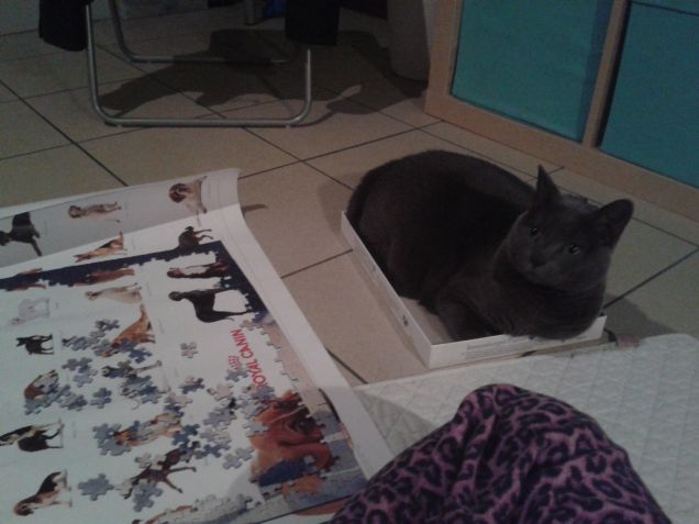 Mi aiuti a fare il puzzle??!