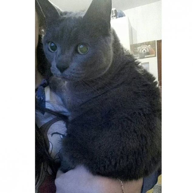 guardiamo fuori dalla finestra