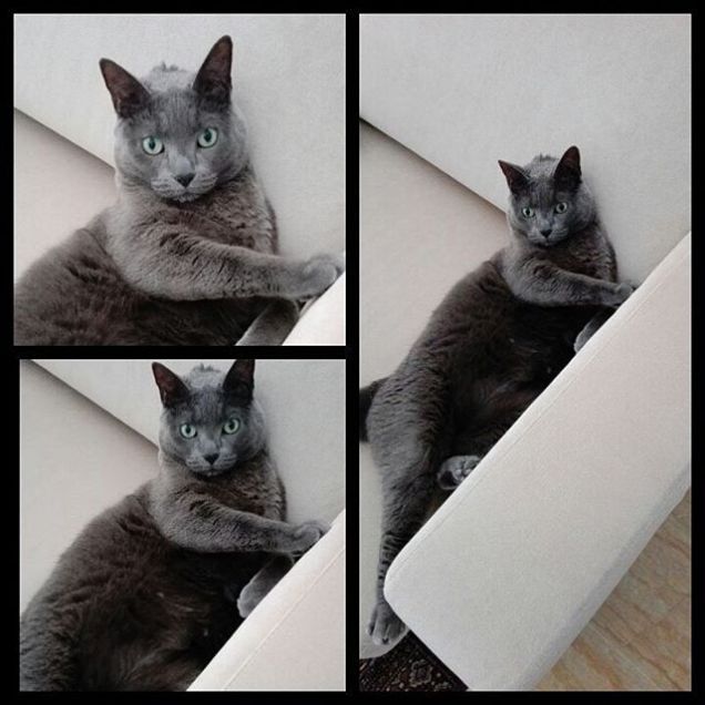 il divano è tutto mio