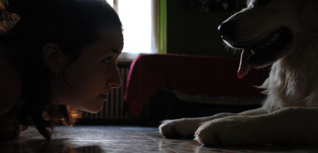 Il mio cane come cane è un disastro, ma come persona è insostituibile.